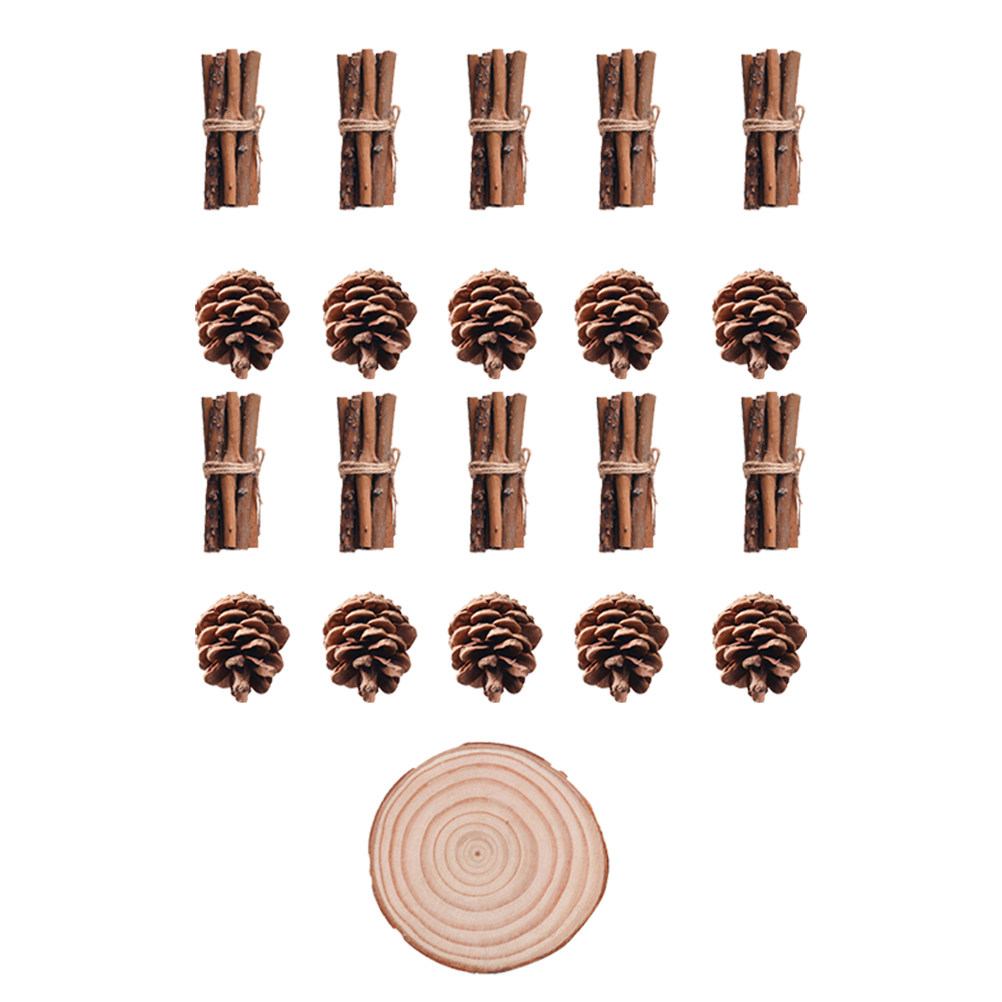 21Pcs Natural Pine Cones and W - Centerpiece Stick 评论和价格