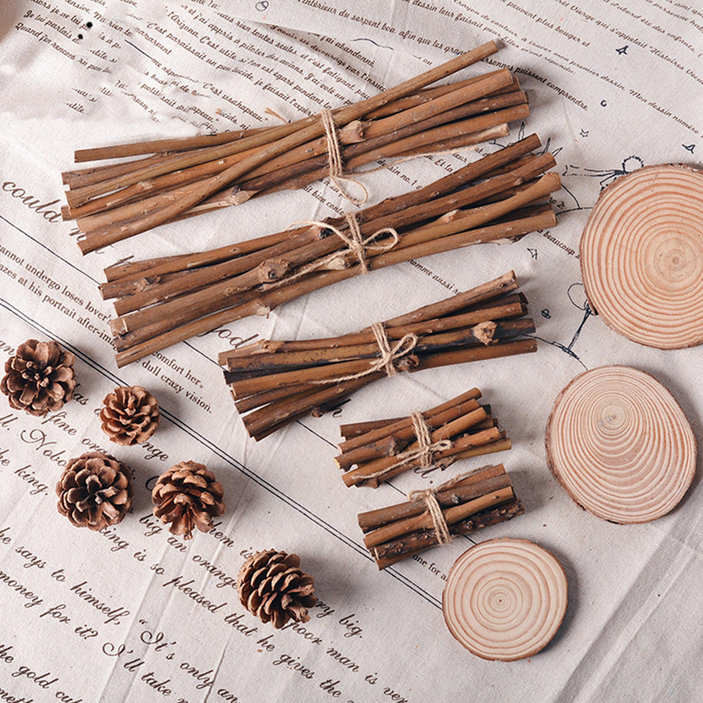 21Pcs Natural Pine Cones and W - Centerpiece Stick 评论和价格